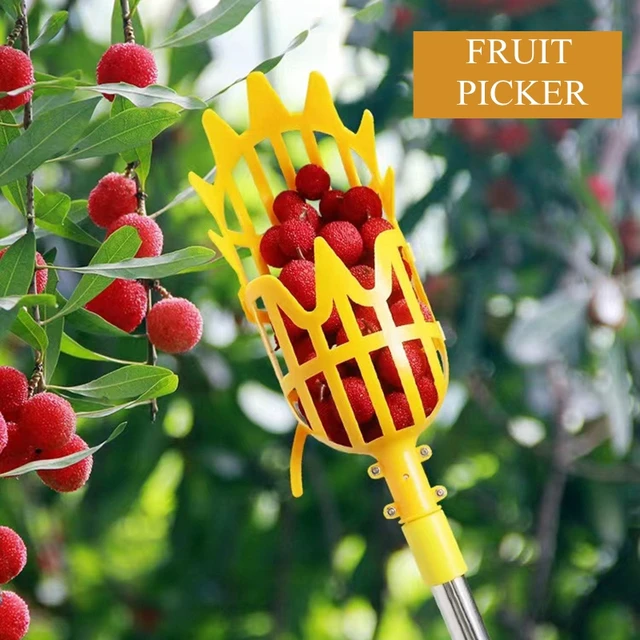 Műanyag Gyümölcsválasztó Szerszám Head Hear Teljesítmények Loquat Bayberry Friftikai Szórak Kerti Kosár Szedőkészletek