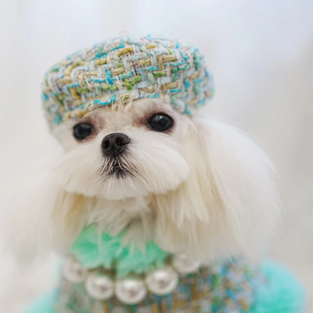 Klassische Hunde-Winterkleidung, Hundegeschirr-Outfit für Mädchen, duftender Umhang, Prinzessin, Welpen, Katzen, Brust- und Rückentraktion für kleine Hunde – Detail 4