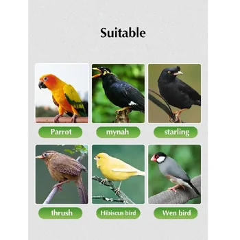 Bird Insecticide/ Deworming 3