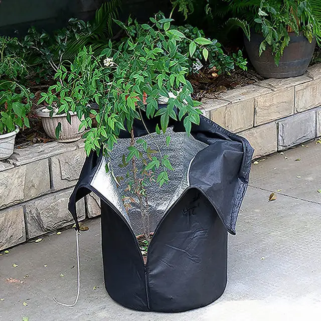 Ültetvényes Fagyasztó Borító Fagyvédelem Napvédő Kerti Védelmező A Fák Számára - Image 3