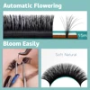 Qeelasee 4 boxes of Mixed Length Auto Flowering Rapid Blooming Fan Easy Eyelashes 2