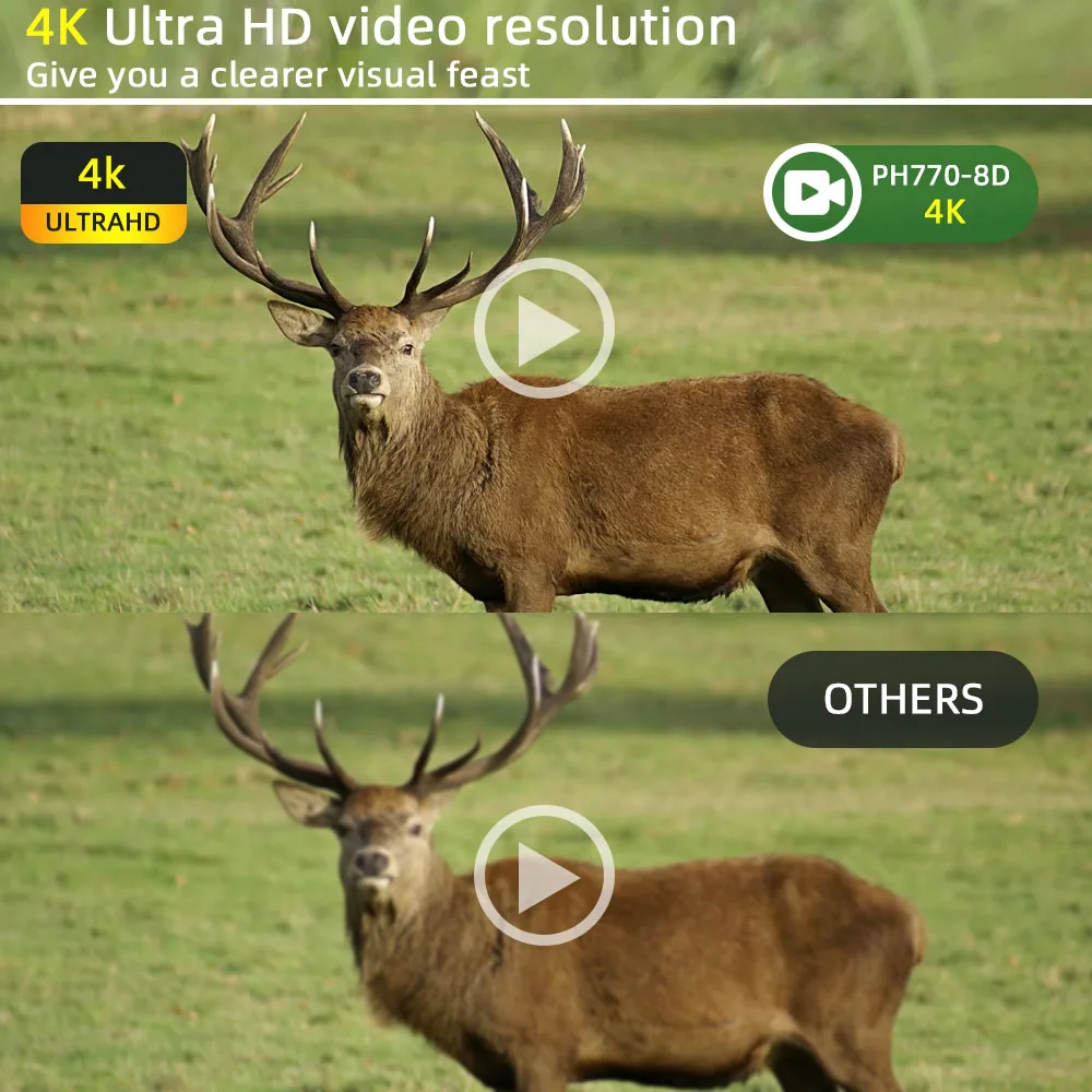 Slika noćnog vida s trail kamere