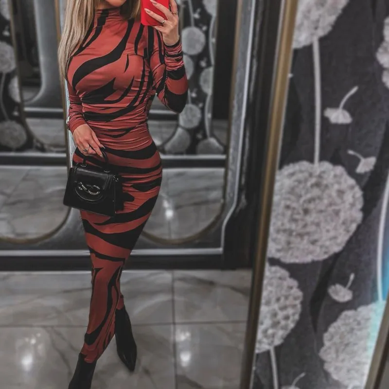 Talenza Print Leopard Print Slim Long Dress Women's Fashion Long Sleeve Sexy Party Dress Summer Street Leopard Print Long Dress