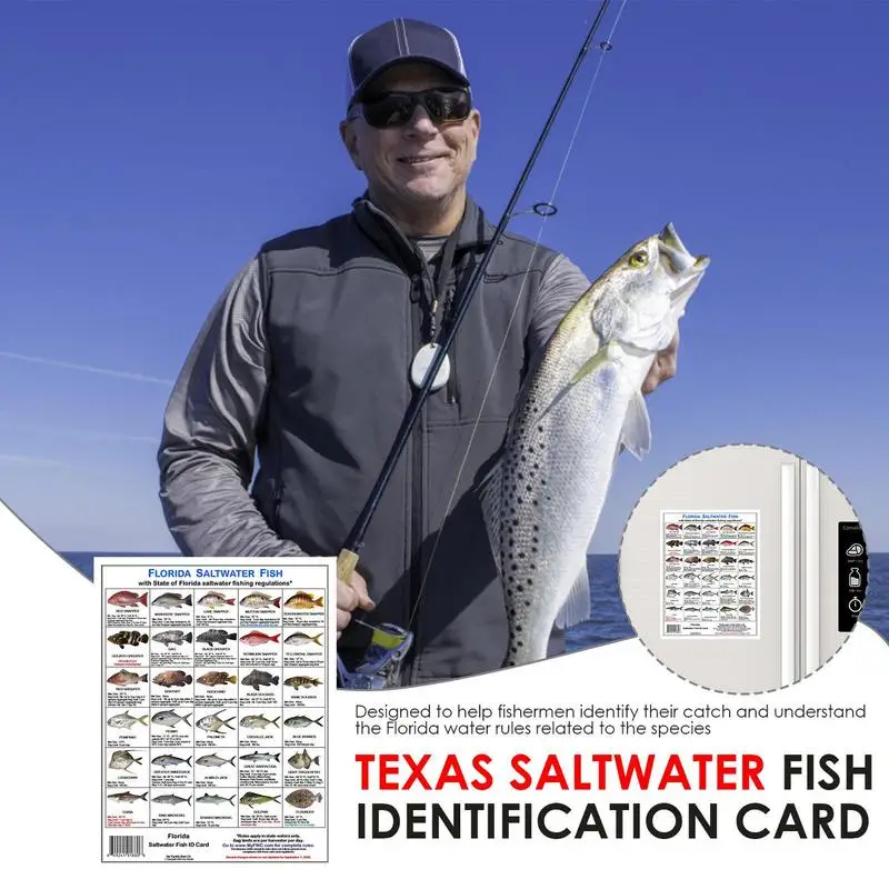 Florida Saltwater Fish Identification Card Fish Species Guide With Magnets  Identify Florida Waters Rules Card For Fishing - AliExpress