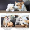 Kawaii Sheep Plush Dolls Toy Cute Soft Cartoon Plush Heartbeat Puppy Behavioral Training Toy Stuffed Animal Pillow for dogs 3