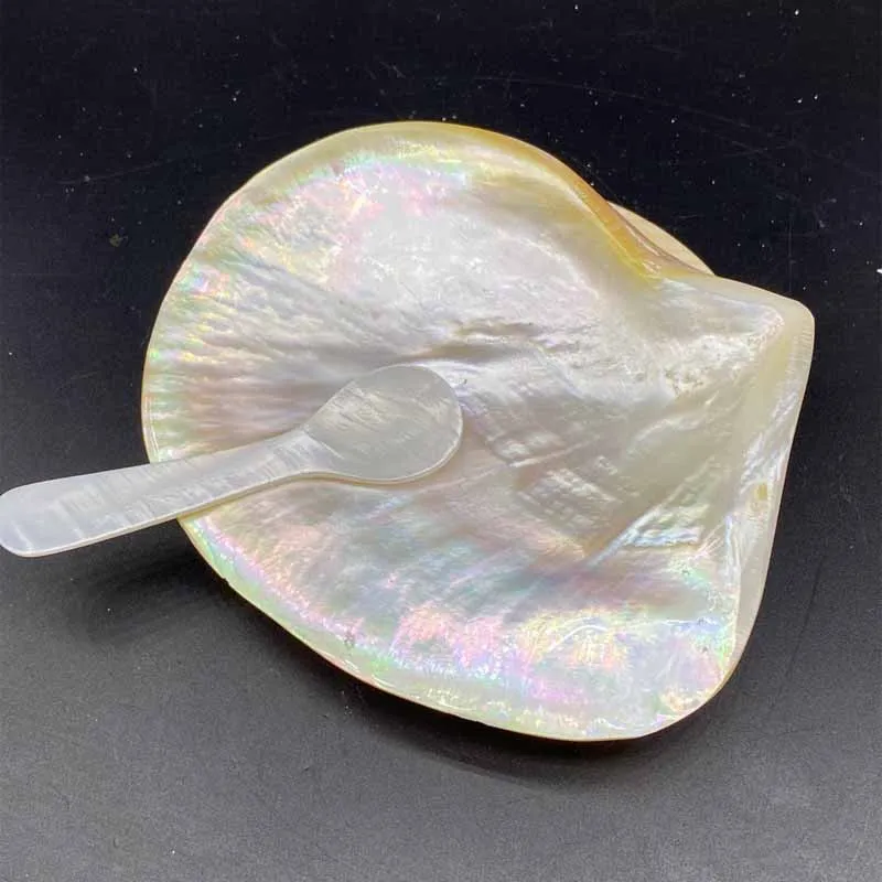 Natural Polished Yellow Pearl Shell And Spoon Creative Home Decoration Photography Props Crafts Caviar Tableware