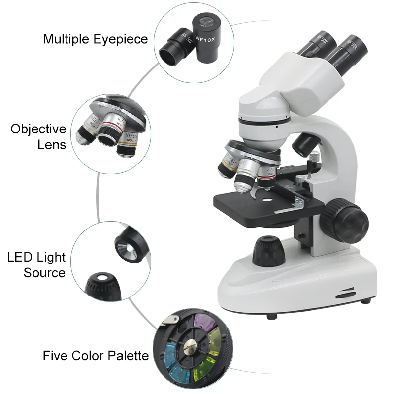40X-1600X Binocular Biological Microscope dengan 360 derajat Rotatable Head Optik Diterangi Mikroskop Mahasiswa Percobaan