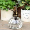 1 PC Glass Watering Can Pot Vintage Plant Mister Pressure Sprayer Retro Pumpkin Spray Bottle imitation bronze Sprinkler 6