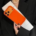 Only Case