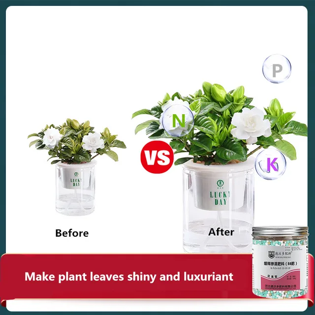 500 G Ömlesztett Keverés Műtrágya Virág Gyümölcs Speciális Lassú Felszabadulású Összetett Beltéri Bonsai És Zöldség Számára - Image 3