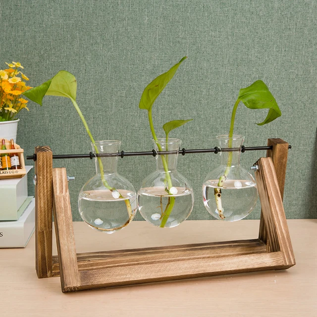 【Lifeideas】Glass Wood Vase Planter Terrarium Table Desktop Hydroponics Plant Bonsai Flower Pot Hanging Pots with Wooden Tray
