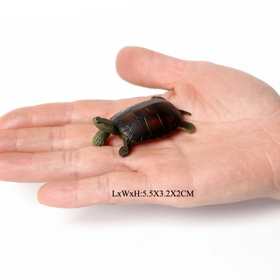 Realistic Sea Turtle Growth Cycle Educational Toy and Cake Topper Gift