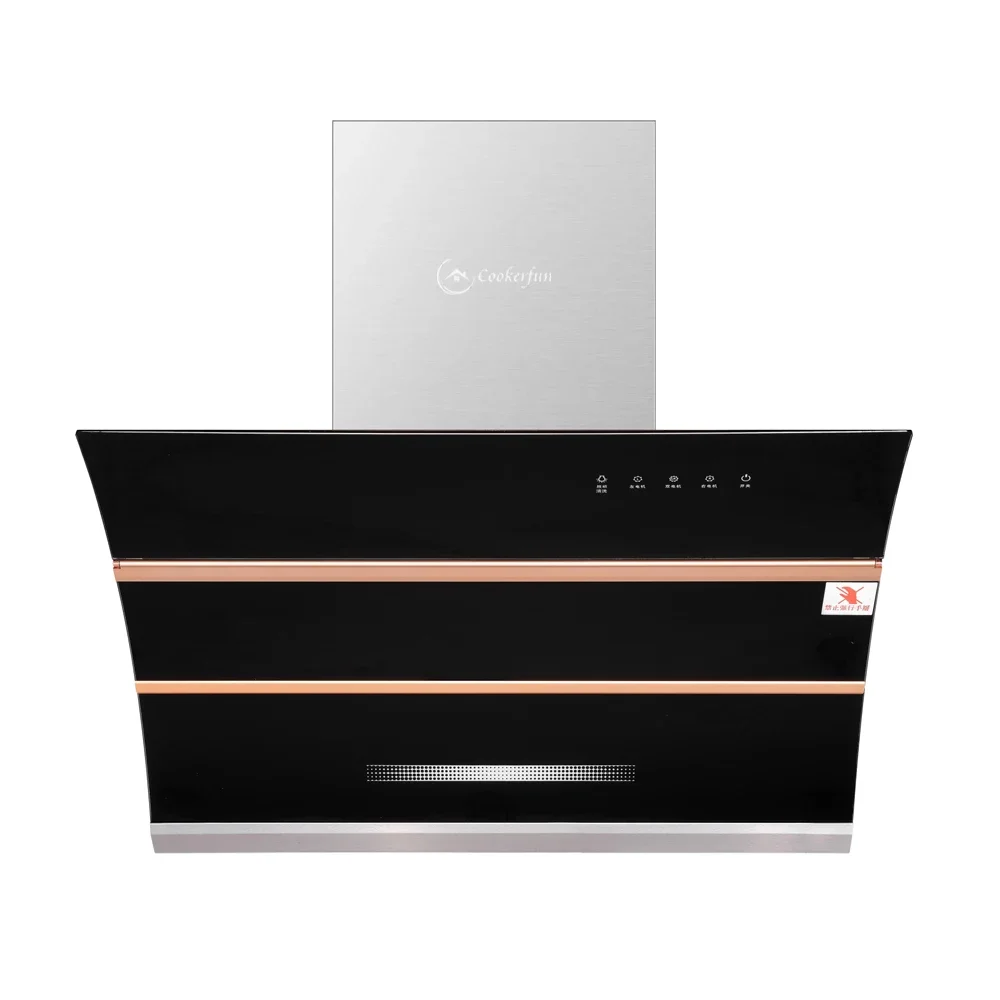 Big Suction Power Copper Double Motor Cooker Hood Wall Mount Wall Mounted Kitchen Extractor Hood Charcoal Filters for Range