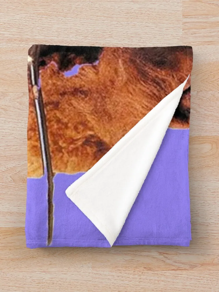 Cf ������ ��� Flannels ���� ����� �� �ε巯�� �÷��� ���� ���� �ڼ� ���