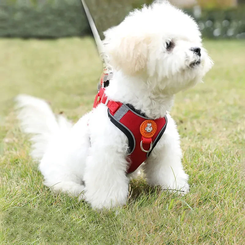 Dog Harness Set with Leash