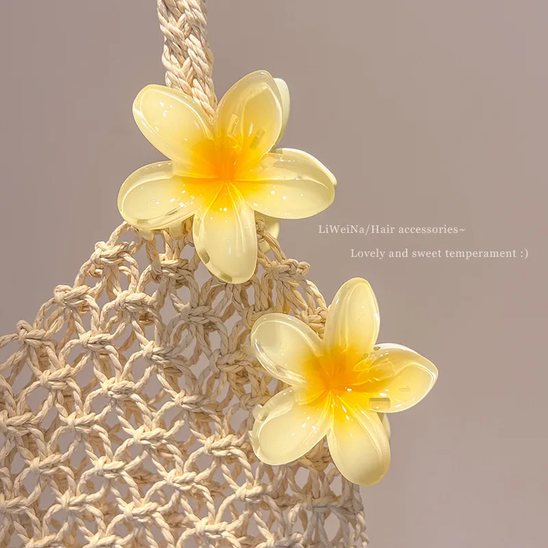 Hair Clips 4/8cm Gradient Flower Accessories Set Beach Style Hawaiian Style