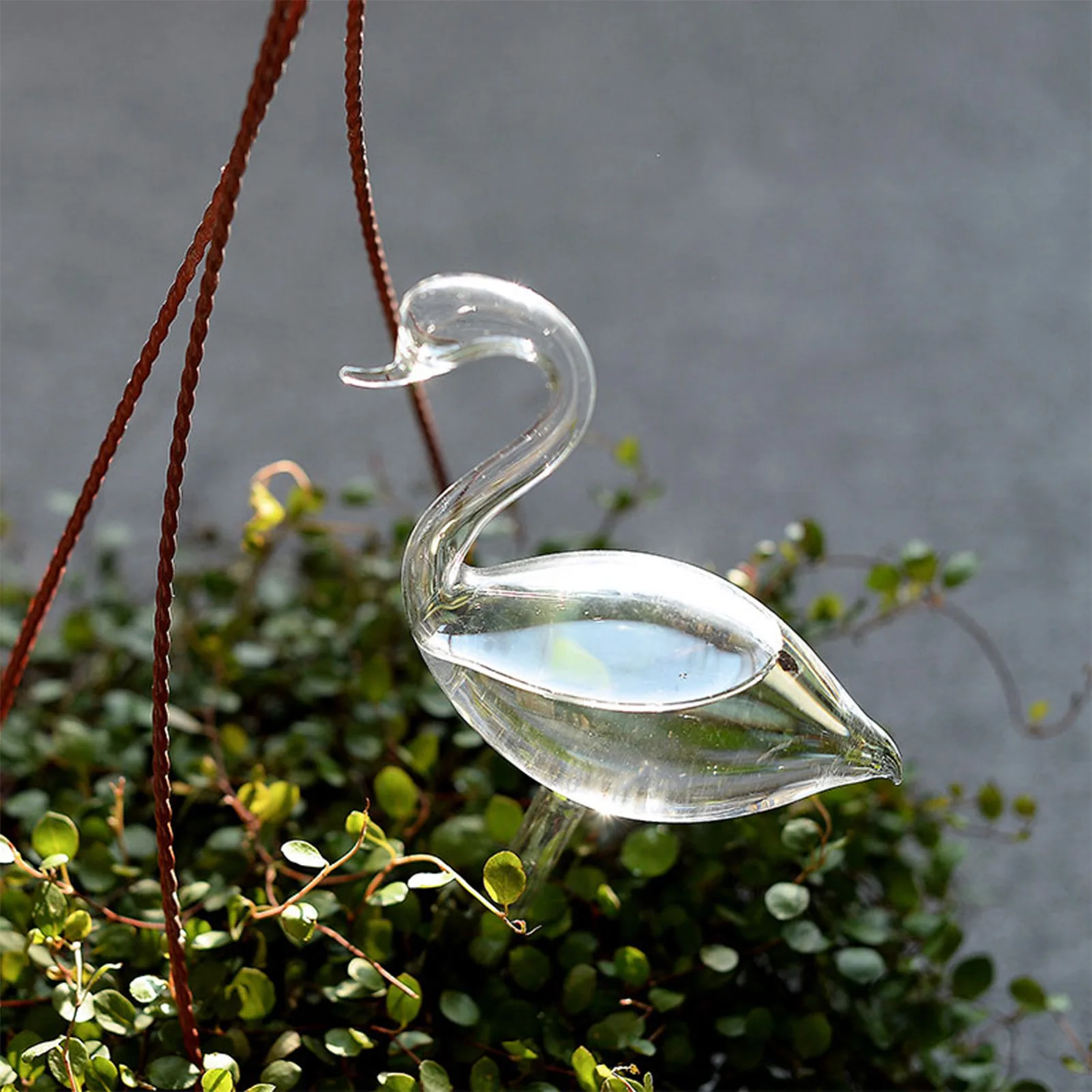 Elegant Swan Watering Device Transparent Indoor Plants Self Watering Device for Small Apartments and Offices