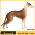 Greyhound