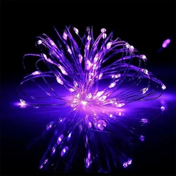 Warm White LED String Lights for Festive Home and Event Decor - 20m Length (PURPLE)
