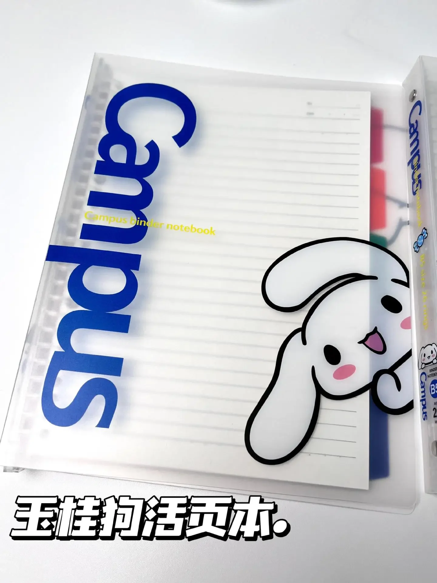 Sanrio ハローキティ 平成レトロ1999年　スパイラルノート B5 うさぎ Sanrio ハローキティ 平成レトロ1999年 スパイラルノート B5 うさぎ