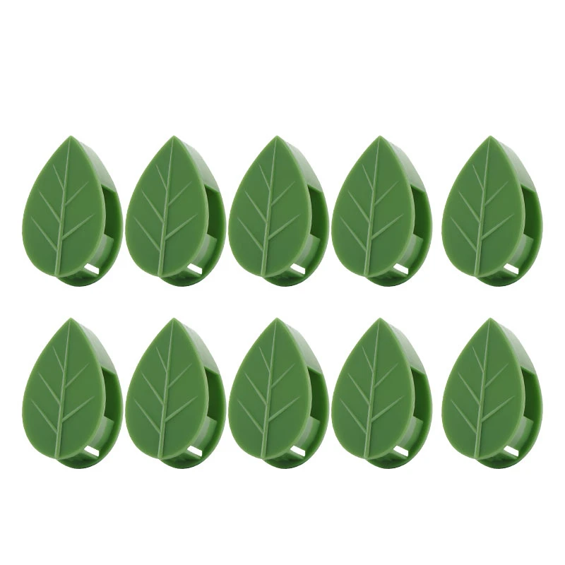 10pcs