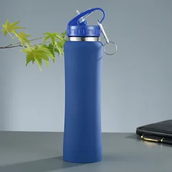 Insulated Stainless Steel Water Bottle with Straw - Premium Gift - 600ml (Blue)