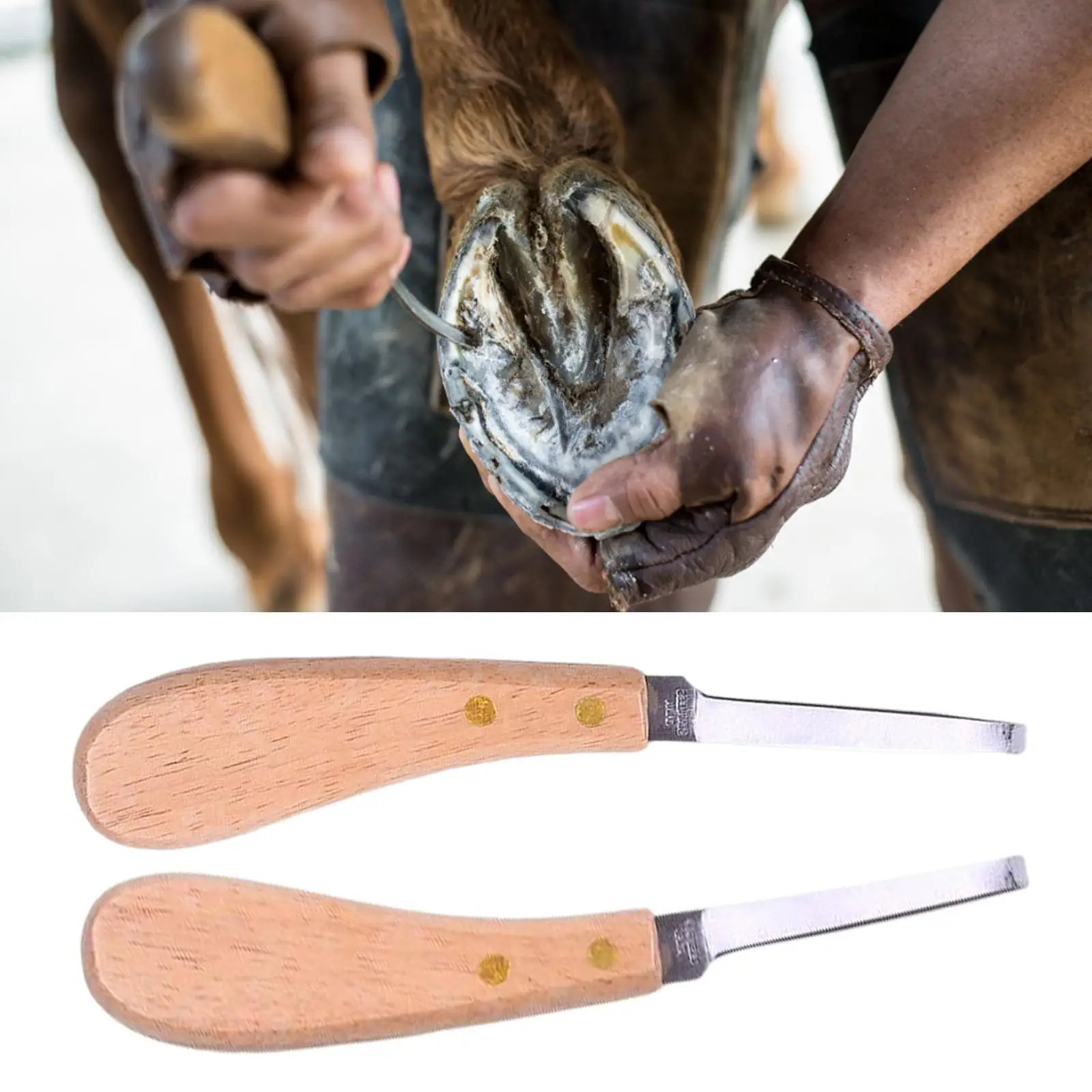 Cattle Hoof Cutter Professional Farrier Nippers Hoof Trimmer Knife Supplies for Pig Horse Livestock Farm Animal Goats Sheep hoof cutter
