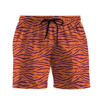 Animal 3d Print Skin Short Pants For Men Tiger Snake Zebra Graphic Summer Outdoor Cool Street Beach Shorts Sports Swim Trunks 2