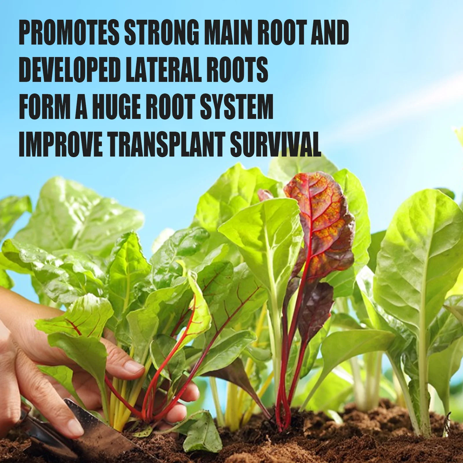Powder Rooting Hormone For Cuttings Enhancer Promote Root Growth For Seedlings Starts Potting Soil Fertilizer Plant transplant root stimulator