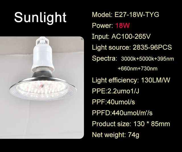 Sunlight