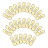 50 Pcs Hygienic Swimsuit Stickers Swimsuits Clear For Protective Protection Lingerie Pvc Self-adhesive Liners Strips 3