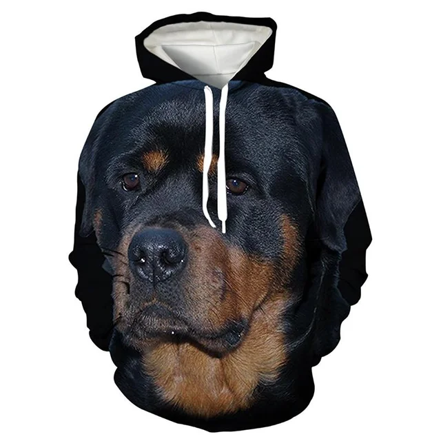 Image 21