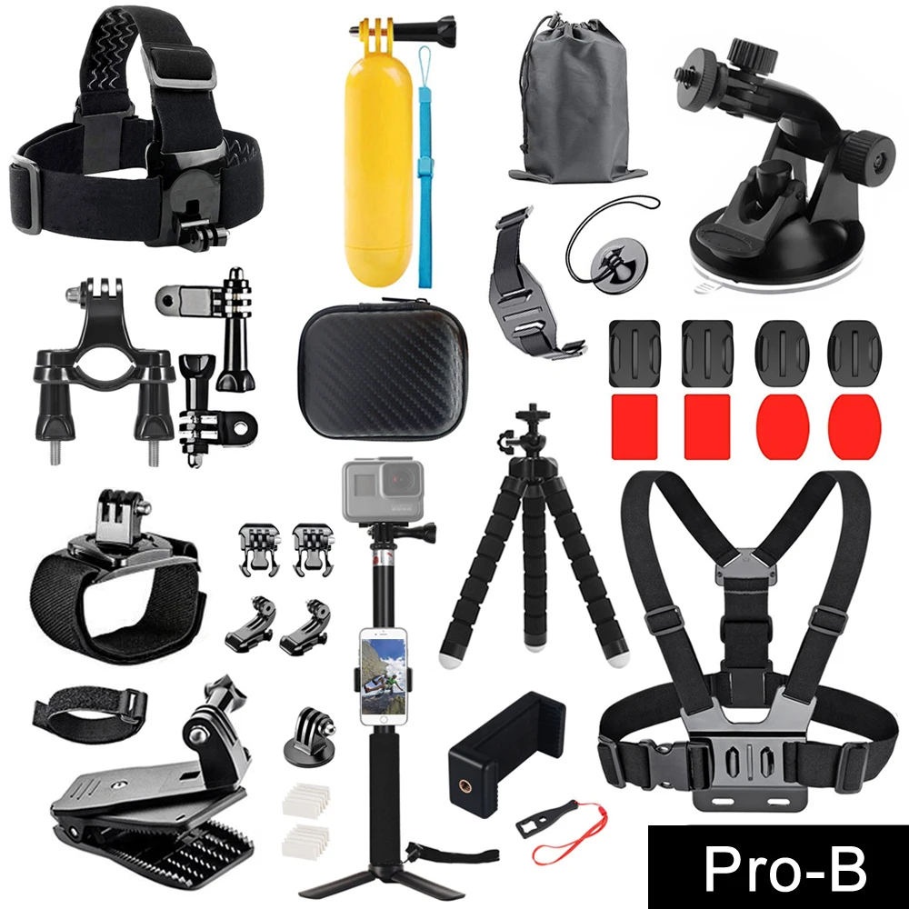 Pro B