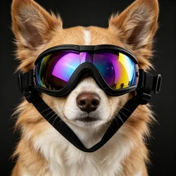 Dog Sunglasses - UV Protection & Adjustable Fit, Fashionable and Windproof - M (Color)