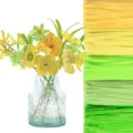 Green yellow set