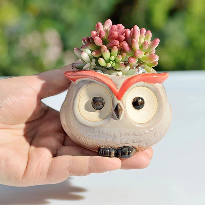 Ceramic Owl Flower Pot Garden Office Decoration Succulent Mini Owl Flowerpot Cute Animal Flowerpot Cactus Plants Planters 2