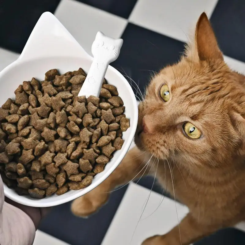 Pet Food Desiccant Diatomite Food Moisture Absorbers Reusable And Cleanable Desiccant Strip For Household Daily Supplies