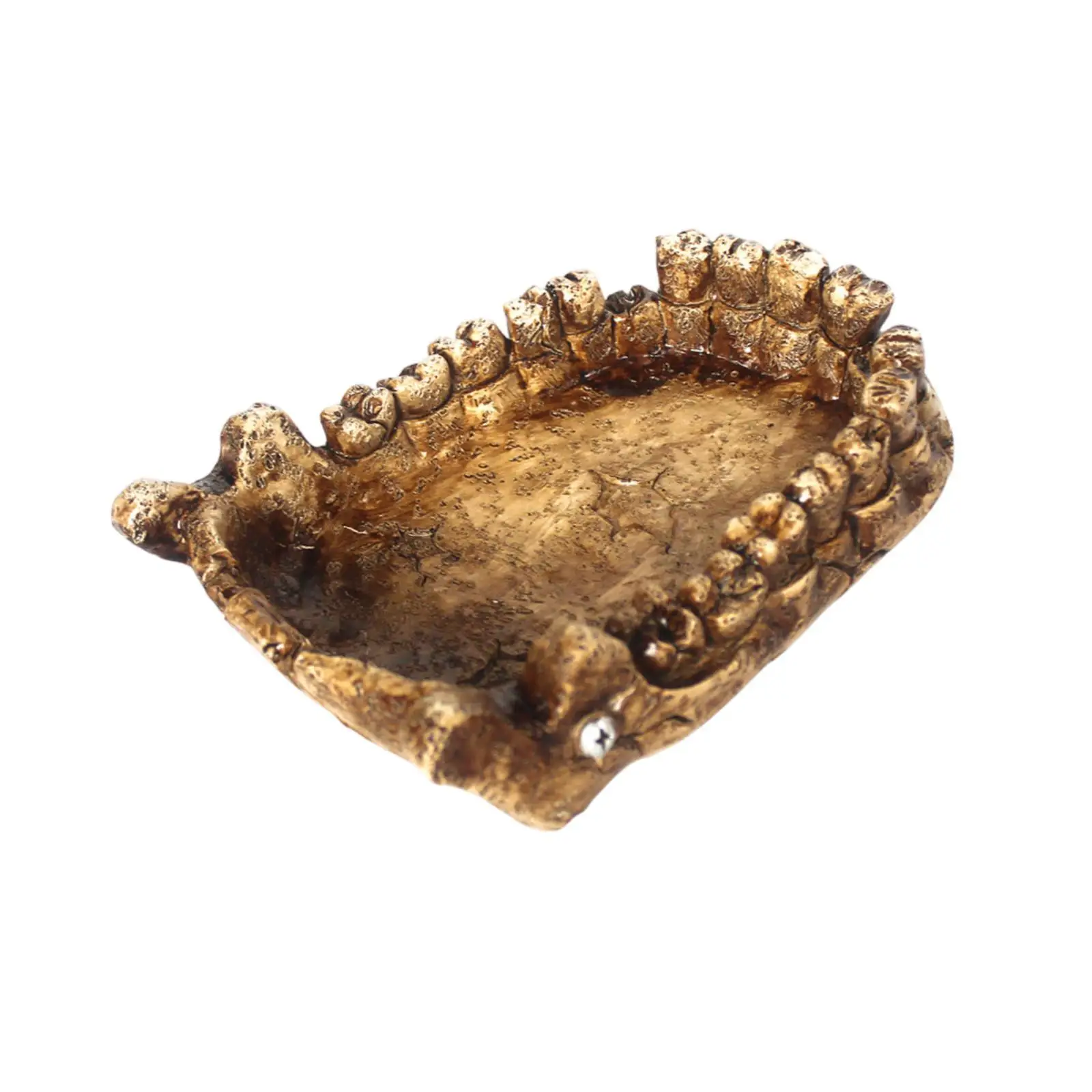 Reptile Feeding Bowl Resin Decorations Bathing Bowl Turtle Bath Terrarium Plate for Frogs Chameleon Pet Supplies Lizards Gecko