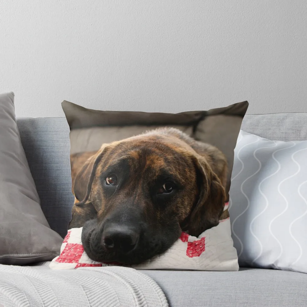 

Brindle Mastiff Mix Dog Throw Pillow Elastic Cover For Sofa christmas pillowcases Sofa Cushion