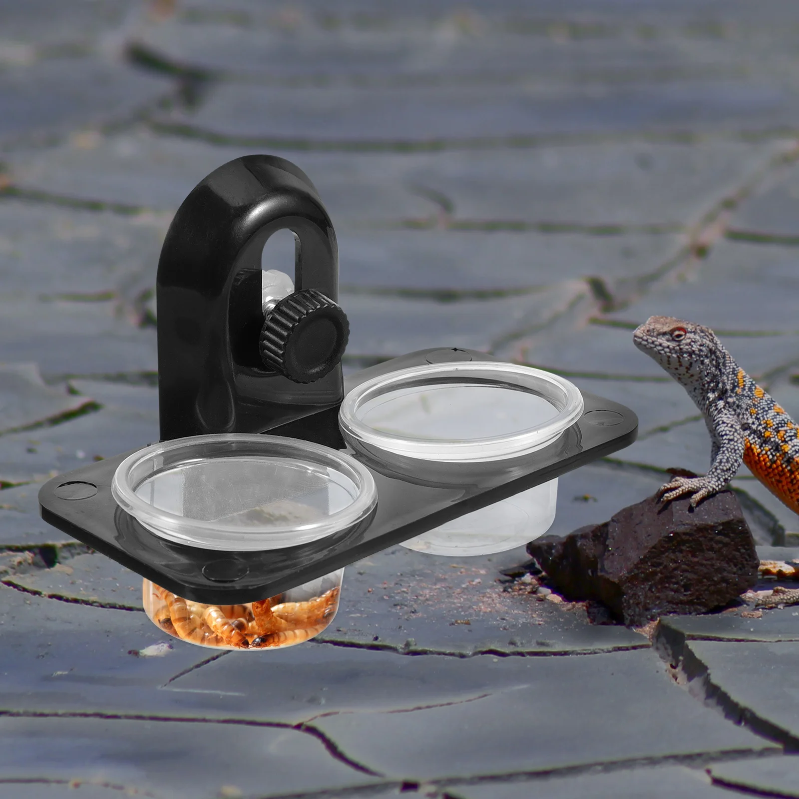 Gecko Feeding Ledge Rettile Ledge Rettile Water Feeder Dish Per Geckos Iguana Pets (Tipo A Vite)
