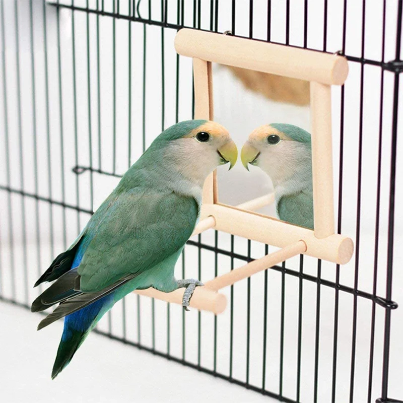 Bird Mirror Wooden Interactive Play Toy With Perch For Small Parrot Budgies Parakeet Cockatiel Conure Lovebird Cage Accessories bird toy