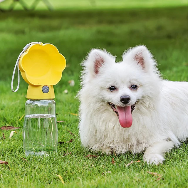 Portable Dog Water Bottle With Food Container Small Large Dogs Cat Leakproof Drink Bowl Outdoor Water Dispenser Bulldog Supplies 4