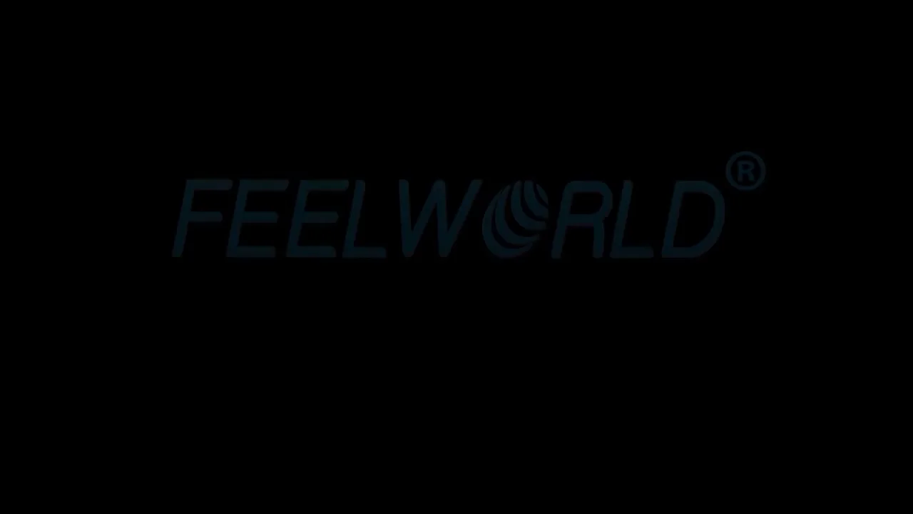 FEELWORLD FW279 7-дюймовый полевой монитор