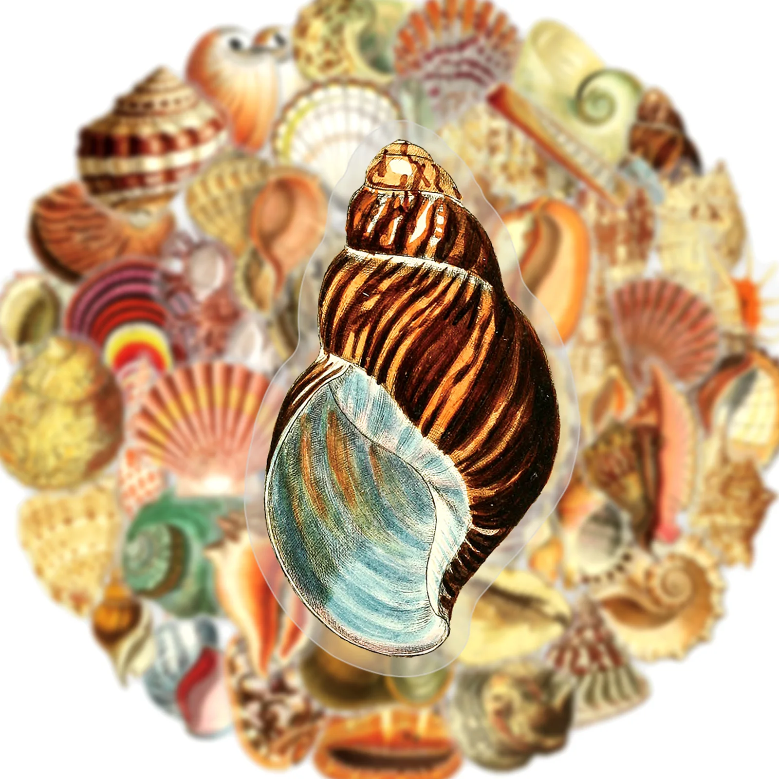 50/100Pcs 다양한 HD 쉘 스티커, PET 투명 방수 컵 스케이트 헬멧 스크랩북 기타 피아노 전화 문구 상자 데칼