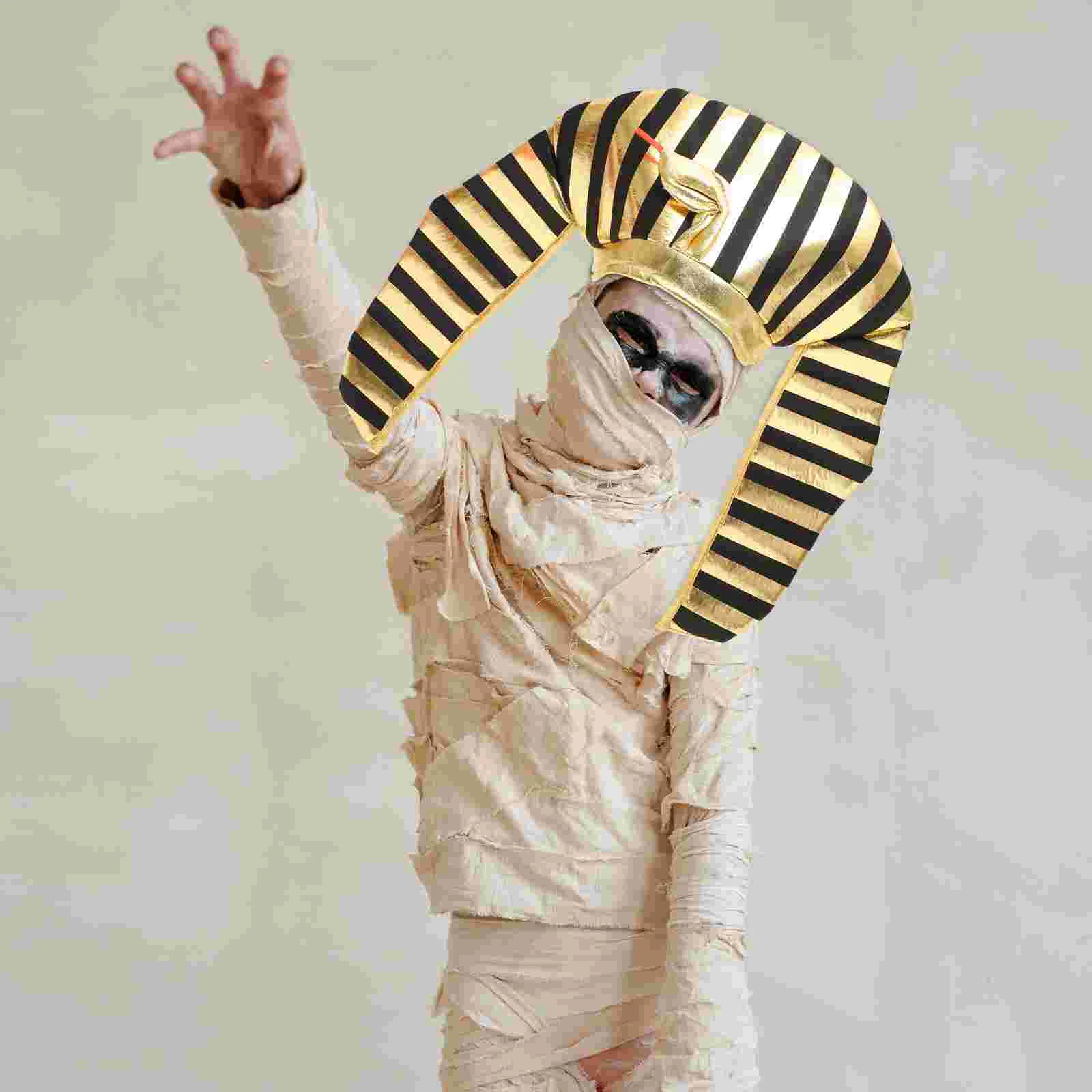 Ư  ȸ Ʈ , ҷ ڽ , Ķ ڽ ڽƬ