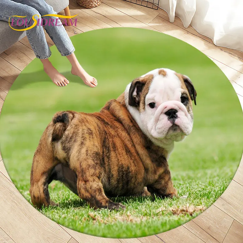 Tapete da área do círculo do cão dos desenhos animados 3d pitbull, tapete redondo do tapete para a decoração do sofá do quarto da sala de visitas,