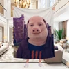 John Pork Smiling Throw Blanket For Baby cosplay anime Sofas Blankets 5