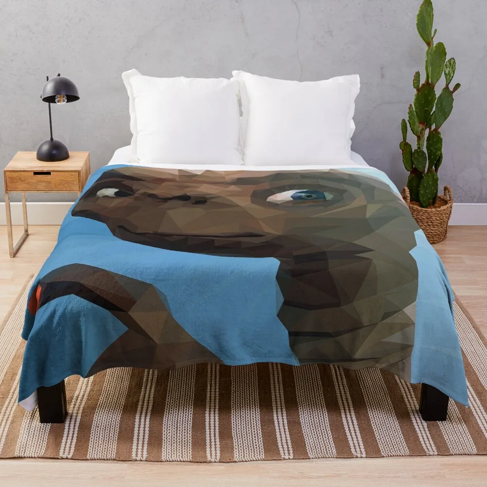 

E TThrow Blanket Blanket For Decorative Sofa