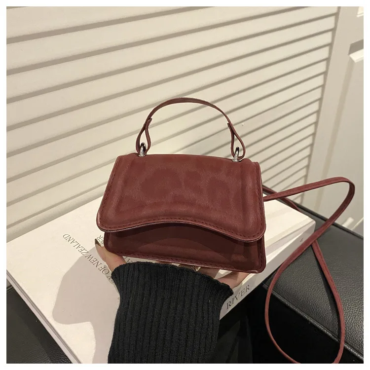 Neue Mode Mini Umhängetasche für Frauen Schulter Tasche Leopard Print Trendy Umhängetasche Einfache Casual Handtasche Kleine Quadratische Taschen – Detail 30