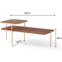 Modern Glass and Wood Coffee Table for Living Room, Mid-Century Brown Glass Coffee Table, Double Layer Center Table. 2
